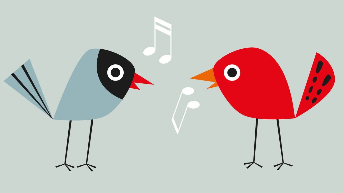 Zeichnung von zwei singenden Vögeln  - Sendungsbild 