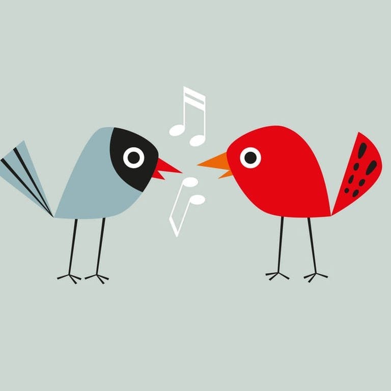 Zeichnung von zwei singenden Vögeln  - Sendungsbild "Hörbar"
