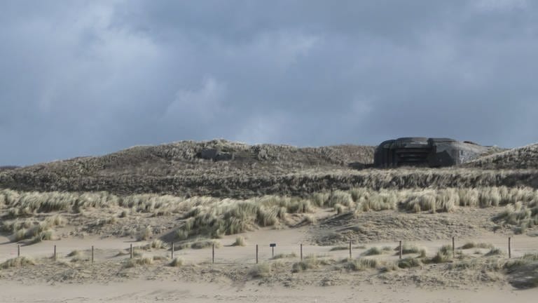 Mahnmale der Vergangenheit: die Bunker des Atlantikwalls (Foto: SWR, Claudia Heissenberg)