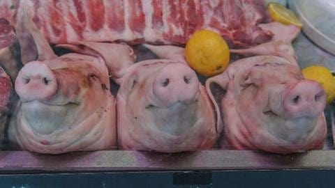 Schweineköpf in einer Metzgerei auf dem Viktualienmarkt