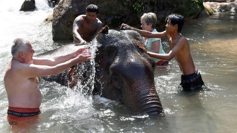 Myanmar - Touristen waschen unter Anleitung von Mahuts einen Elefanten