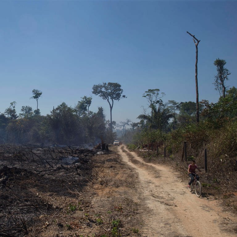 Ein von Bränden betroffenes Gebiet im Amazonas-Dschungel in der Gemeinde Novo Progresso im Bundesstaat Paro in Brasilien im August 2020 (Foto: IMAGO, imago images / ZUMA Wire)