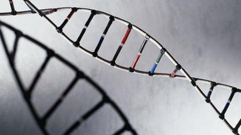 Ein DNA-Strang wirft einen Schatten auf eine Wand (Foto: Getty Images, Thinkstock -)