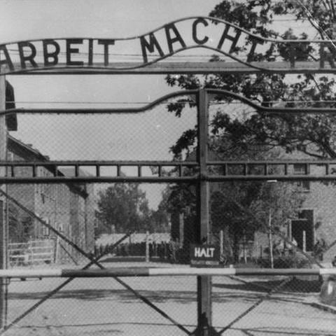 Haupttor des Nazi-Todeslagers Auschwitz