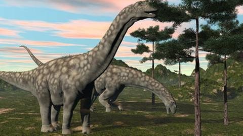 Argentinosaurus Dinosaurier (Foto: Colourbox, Foto: Colourbox.de - Elena Duvernay)