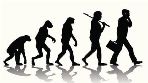 Die Evolution in verschiedenen Stufen bis zum heutigen Menschen (Foto: Getty Images, Thinkstock -)
