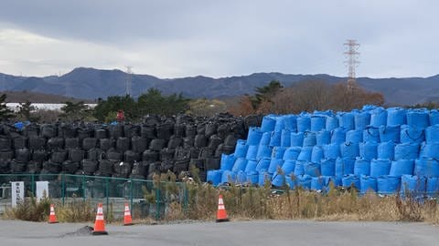 Säcke mit kontaminiertem Müll in Fukushima (Foto: SWR, Kathrin Erdmann / ARD Studio Tokyo)