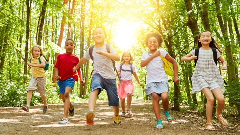 Kinder rennen fröhlich lachend durch den Wald
