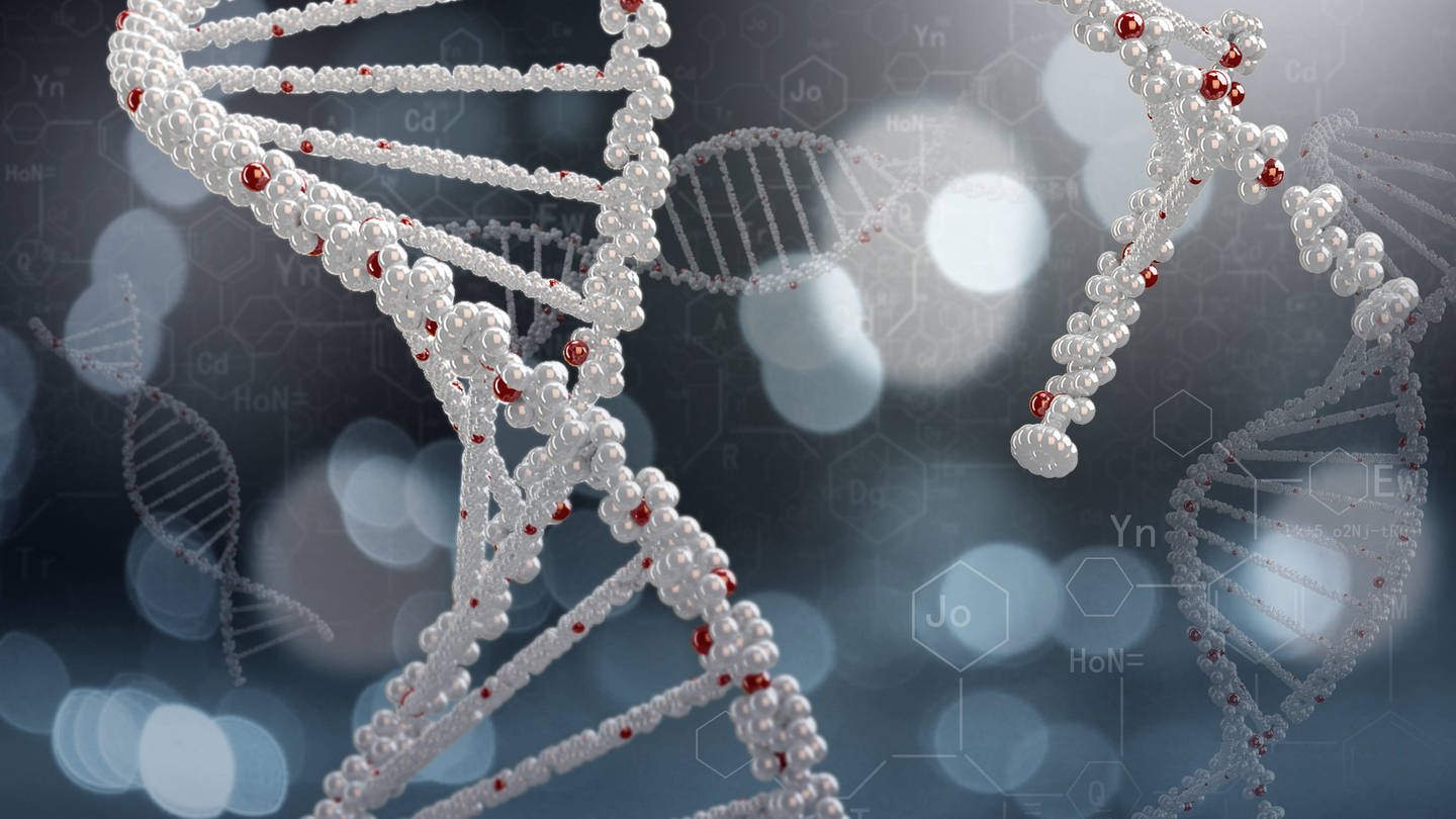 DNA-Moleküle bestehen aus zwei Ketten, die umeinander gewunden sind und eine Doppelhelix bilden (Foto: IMAGO, IMAGO / Shotshop)