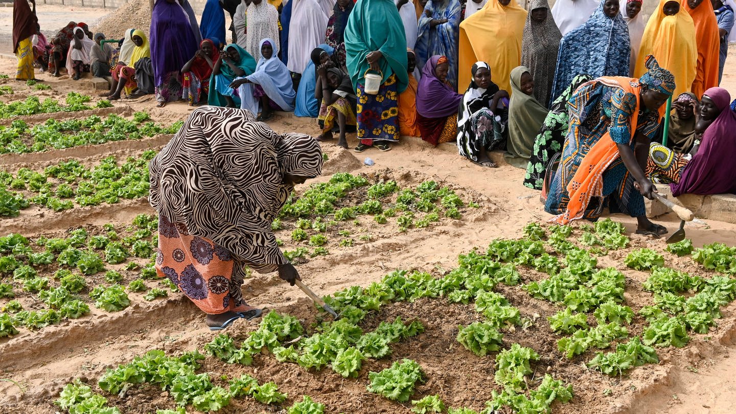 Frauen hacken und jäten Unkraut auf einem Feld: Ein Projekt in Maradi / Niger zur Armutsbekämpfung und Anpassung an den Klimawandel: Gemüsegarten mit Bewässerung durch Solar-Panel für Wasserpumpe, (Foto: IMAGO, IMAGO / Joerg Boethling)