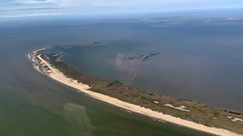 Im Mississippi-Delta versinkt immer mehr Land im Wasser (Foto: SWR, Claudia Sarre / ARD-Studio Washington)