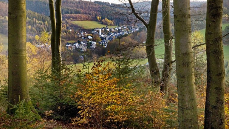 Landschaft im Herbst (Foto: IMAGO, imago images/blickwinkel)