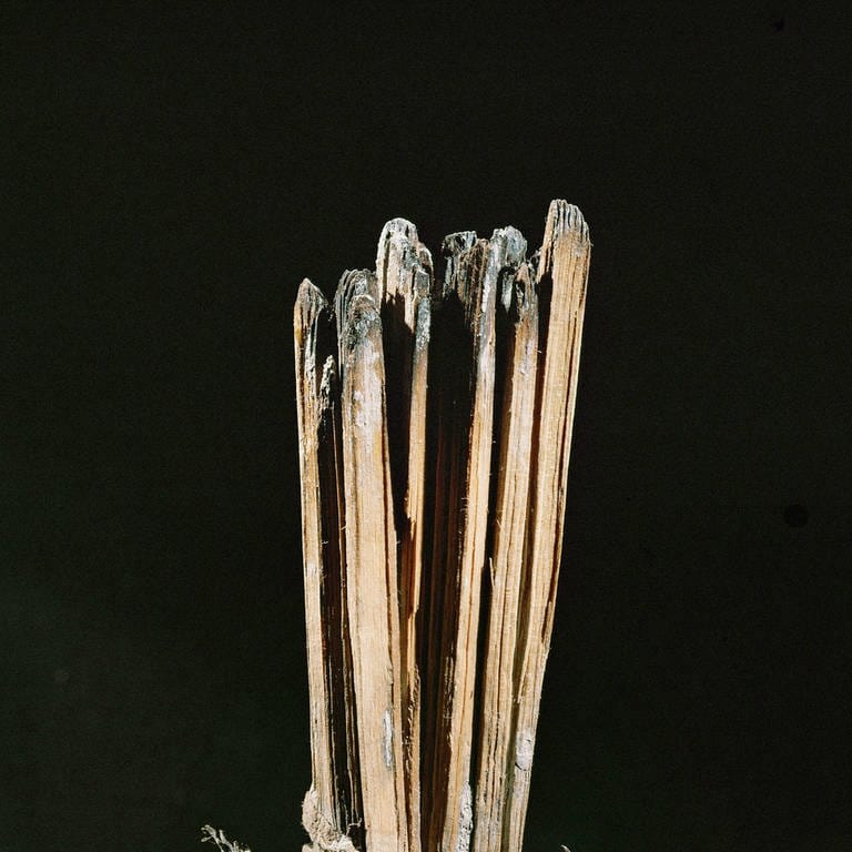 Kienspanfackel aus dem Salzbergwerk Hallstatt,  mit Rindenbast zusammgebunden. Hallstattzeit, 10.9. Jh. v. Chr. 