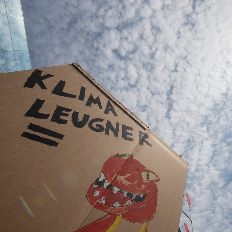 Dinosaurier als Klimaleugner auf einem Plakat (Foto: picture-alliance / Reportdienste, picture alliance/dpa | Sebastian Gollnow)