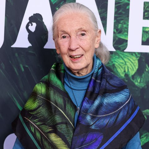 Jane Goodall (Foto: picture-alliance / Reportdienste, picture alliance / abaca | Collin Xavier/Image Press Agency ABACA)