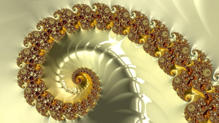 Was aussieht, wie das Innere einer Schnecke, ist ebenfalls ein computer-generiertes mathematisches Fraktal. (Foto: IMAGO, imago/Science Photo Library)