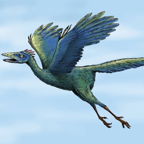 Fliegender Archaeopteryx (Foto: IMAGO, imago images / Ikon Images)
