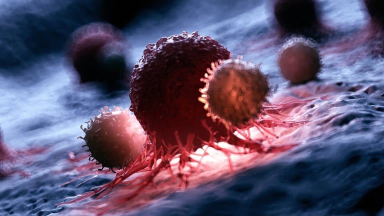Illustration von weißen Blutkörperchen, die eine Krebszelle angreifen