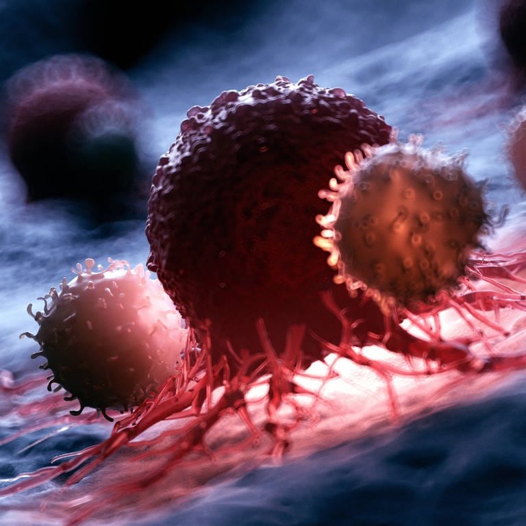 Illustration von weißen Blutkörperchen, die eine Krebszelle angreifen (Foto: IMAGO, IMAGO / Science Photo Library)