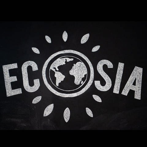 Logo der Suchmaschine Ecosia (Foto: picture-alliance / Reportdienste, picture alliance/dpa | Arne Immanuel Bänsch)