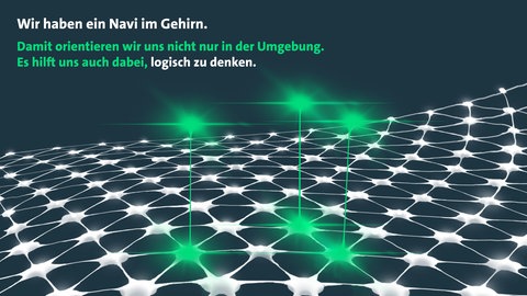 Orientierung im Gehirn: Die selben Zellen, mit denen wir uns räumlich zurechtfinden, helfen uns auch, allgemein Strukturen zu ordnen. (Foto: SWR, Britta Wagner)