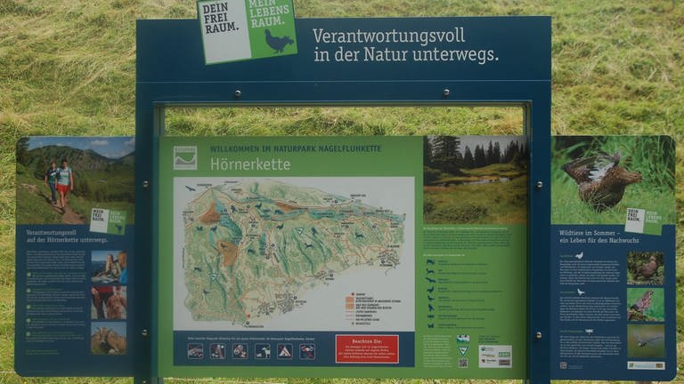 Infotafel über die Hörnerkette des Naturparks Nagelfluhkette (Foto: SWR, Sebastian Krämer)