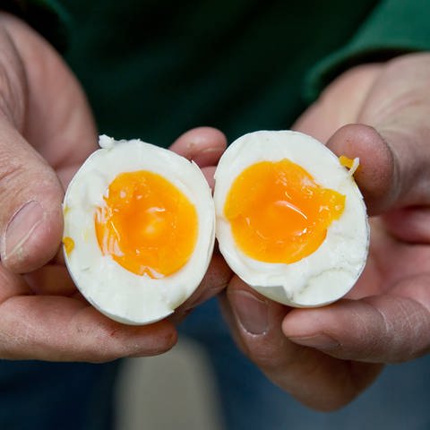 Blick auf ein aufgeschnittenes gekochtes Ei (Foto: picture-alliance / Reportdienste, Daniel Karmann/dpa)