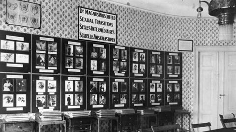 Saal im Institut fuer Sexualwissenschaft in Berlin mit Anschauungsmaterial zur Magnus Hirschfelds Theorie der sexuellen Zwischenstufen (um 1930)