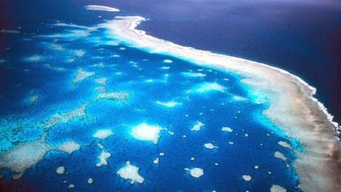 Great Barrier Reef (Foto: picture-alliance / dpa, picture-alliance / dpa -)