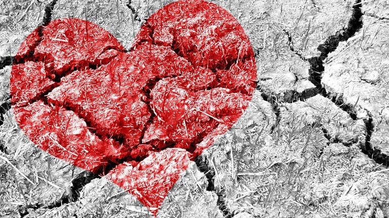 Ein rotes Herz auf einem brüchigen Boden (Foto: IMAGO, IMAGO / YAY Images)
