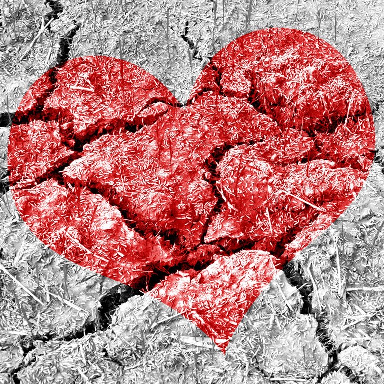 Ein rotes Herz auf einem brüchigen Boden