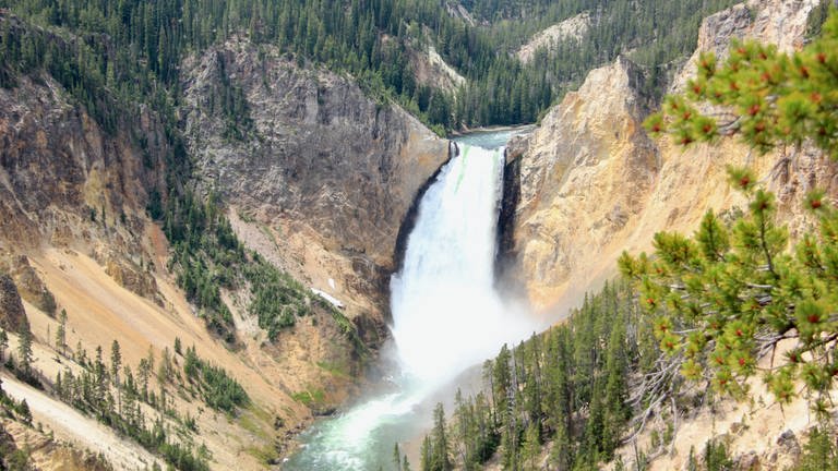 Die Wasserfälle des Yellowstone sind ein berühmtes Markenzeichen des Parks (Foto: SWR, Torsten Teichmann, ARD-Studio Washington)