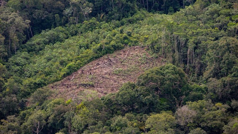 Illegale Abholzung im Amazonas-Regenwald im Bundesstaat Amazonas an der Grenze zwischen Brasilien und Kolumbien (Foto: IMAGO, IMAGO / ZUMA Wire)