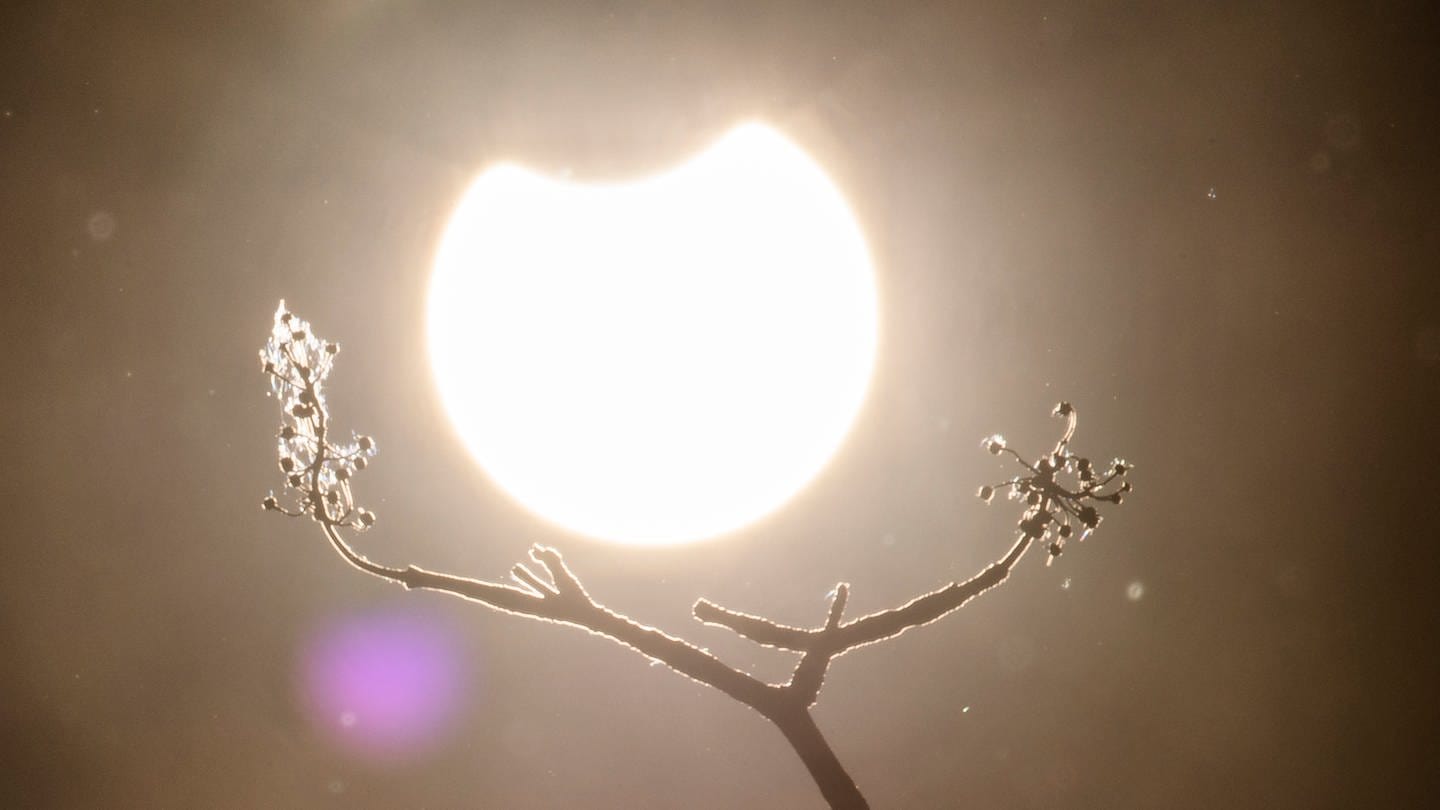 Eine partielle Sonnenfinsternis war im Juni 2021 in Deutschland zu sehen (Foto: picture-alliance / Reportdienste, picture alliance / photothek | Florian Gaertner)