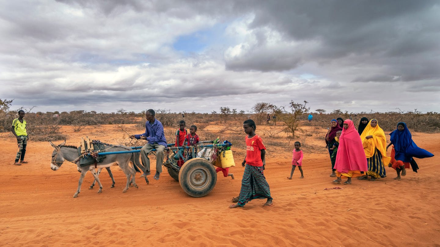 Eine Gruppe von Menschen erreicht 2022 ein Flüchtlingslager am Stadtrand von Dollow in Somalia. Somalia erlebte die schlimmste Dürre seit jeher. Mitverantwortlich ist der Klimawandel. (Foto: picture-alliance / Reportdienste, picture alliance / ASSOCIATED PRESS | Jerome Delay)