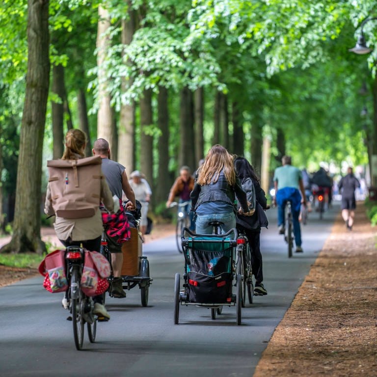 Radweg in Münster mit viel Verkehr unter grünen Bäumen: Effizienz gewinnt der Verkehr vor allem, wenn er abnimmt und möglichst viele das Fahrrad oder den Bus nutzen