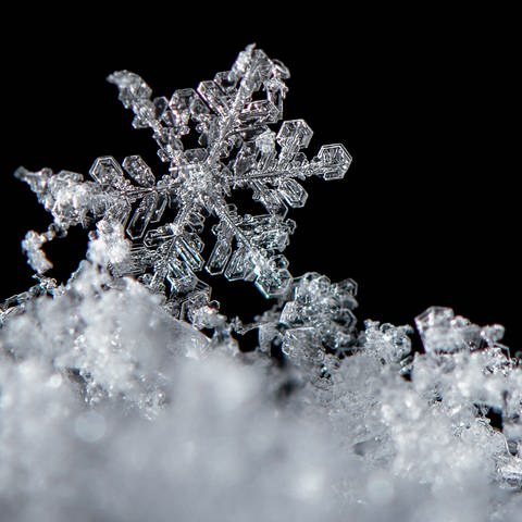 Viele Schneeflocken sehen sich ähnlich. Fast alle besitzen eine sechseckige Grundstruktur. Das liegt am Aufbau der Wassermoleküle.