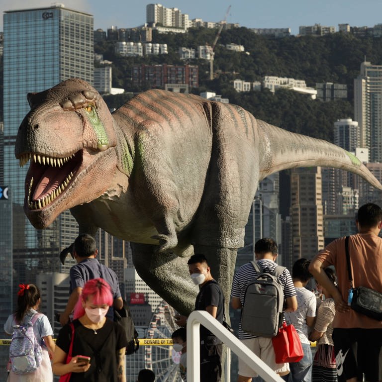 Die künstliche Nachbildung eines T-Rex (Foto: IMAGO, IMAGO / ZUMA Wire)