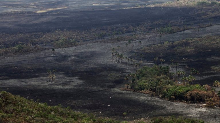 Blick auf niedergebrannte Stellen am 28. Oktober 2017 im Nationalpark Chapada dos Veadeiros. Die Brände haben in Brasilien viele Quadratkilometer geschützte Naturschutzflächen zerstört. (Foto: dpa Bildfunk, picture alliance / Eraldo Peres/AP/dpa | Eraldo Peres)