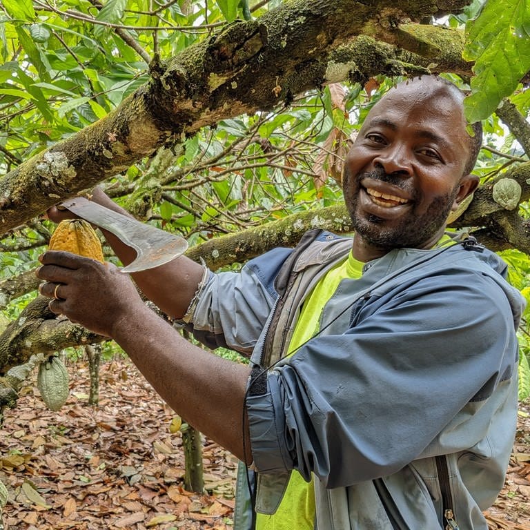 Kakaobauer Joseph Batsa ist 54 Jahre alt. Er ist auf dem Weg zu seinen Kakaobäumen. Seine Farm in Ghana beginnt an einem Bach, klares Wasser fließt den Hügel hinunter. Im Abstand von ein paar Metern hat er die Bäume gepflanzt, die Kakaoschoten wachsen direkt aus dem Stamm, manche sind erst fingerbreit, andere groß wie zwei Fäuste. (Foto: SWR, Benjamin Breitegger)