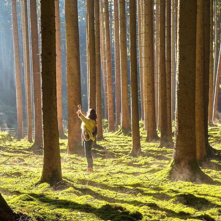 Waldbaden  (Foto: IMAGO, IMAGO/Action Pictures)