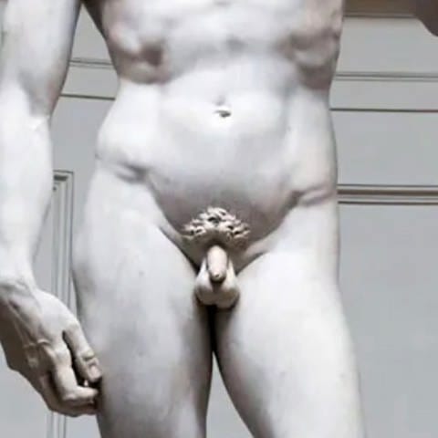Michelangelo's David (Foto: picture-alliance / Reportdienste, picture alliance / ROPI | PA)