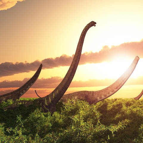 Computergenerierte 3D Illustration mit dem Dinosaurier Mamenchisaurus in einer Landschaft bei Sonnenuntergang