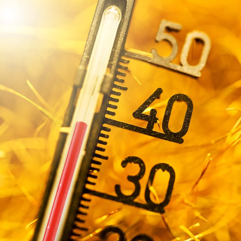 Thermometer bei fast 40 Grad Celsius auf vertrocknetem Gras (Foto: IMAGO, IMAGO / Christian Ohde)
