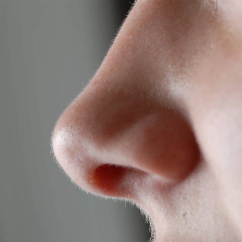 Symbolbild einer menschlichen Nase (Foto: picture-alliance / Reportdienste, picture alliance / prisma | Neeser Rolf)