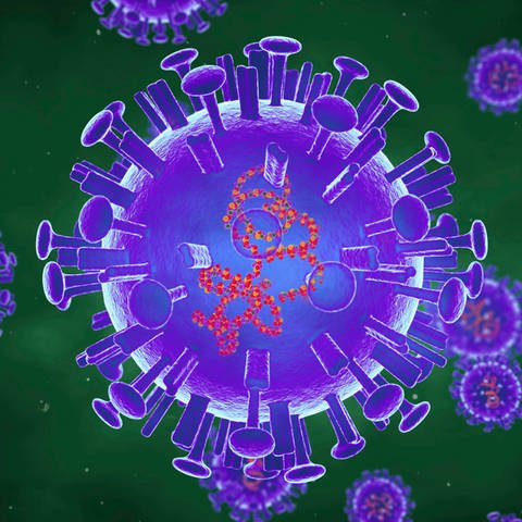 Computerillustration des Vogelgrippevirus (Foto: IMAGO, IMAGO / Science Photo Library)