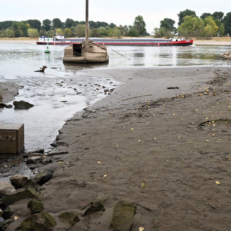 Ein Frachtschiff fährt auf dem Rhein an einem Schiffwrack vorbei, das normalerweise unter Wasser liegt. (Foto: picture-alliance / Reportdienste, picture alliance/dpa | Federico Gambarini)