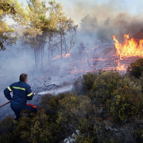 Ein griechischer Feuerwehrmann beim Löschen eines Waldbrandes  (Foto: IMAGO, IMAGO / ZUMA Wire)