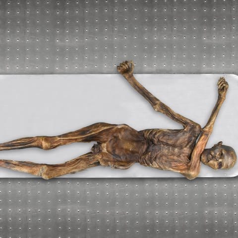 Das Bild zeigt die Mumie des Gletschermanns Ötzi. Eine Genomanalyse verrät, wie der Gletschermann Ötzi zu Lebzeiten aussah. (Foto: picture-alliance / Reportdienste, picture alliance/dpa/Südtiroler Archäologiemuseum/EURAC | Marco Samadelli-Gregor Staschitz)