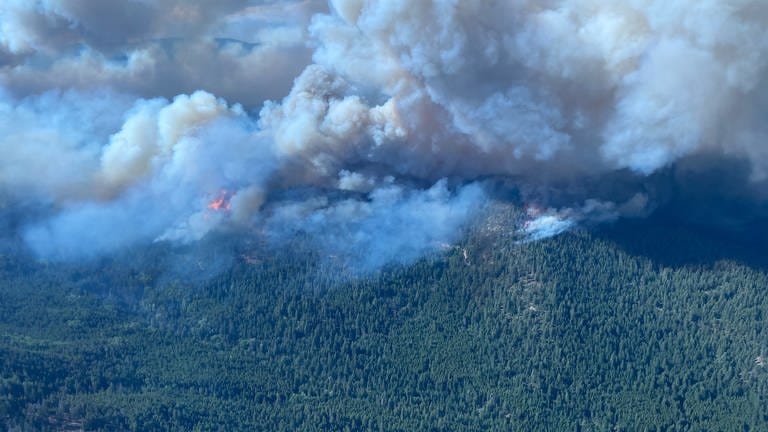 Waldbrände in West Kelowna, British Columbia